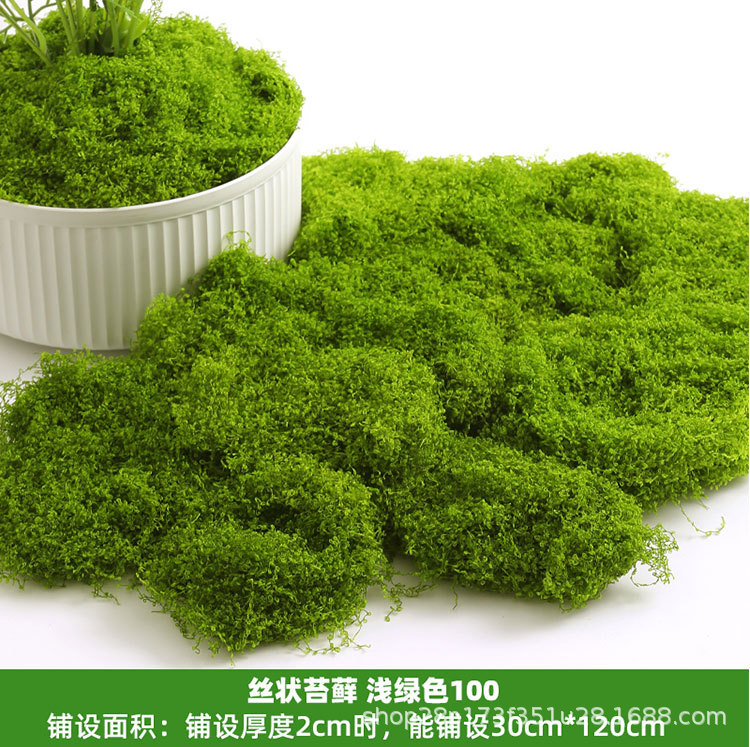 浅绿丝状苔藓100克