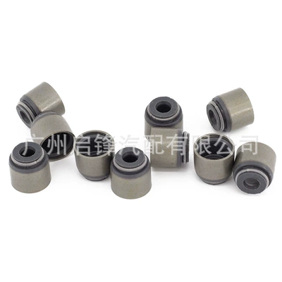 seal, Oil seal