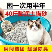 èɰ����20����ͳ��������ŷ���èɳ10kg�ؼ�������40��è����Ʒ