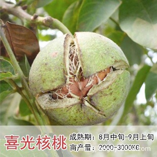 ������Ҙ���Zˮ����Ҙ����ԽY��Ұ����ñ�����Ǫ{���^��Ʒ����