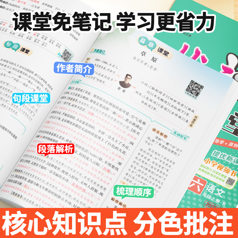 25秋状元大课堂小学语文数学英语一二三四五六年级青岛人教外研版|undefined