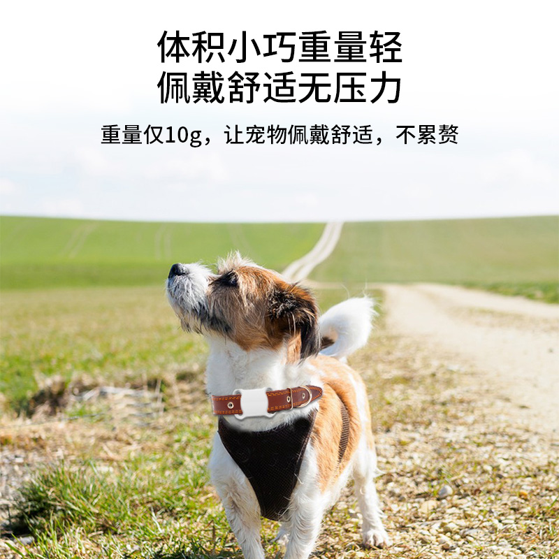 Localizador de mascotas gato perro persecución rastreo reserva artefacto gps collar anti-pérdida de caminar monitor niño peludo