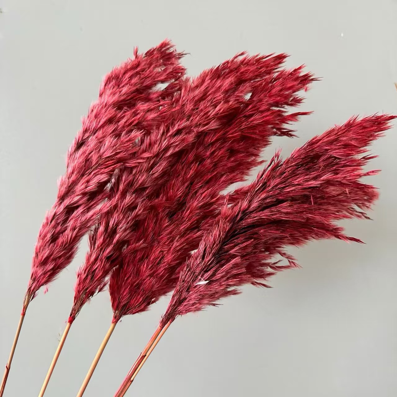 Flores de inmortalidad rojas decoración de boda flores secas de Año Nuevo para dar la bienvenida a los huéspedes frijoles de dragón grasa colgando arroz al por mayor
