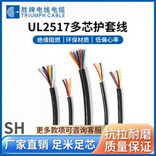 胜牌 UL2517多芯护套线 耐弯折抗老化FEP芯线绝缘 设备信号传输线