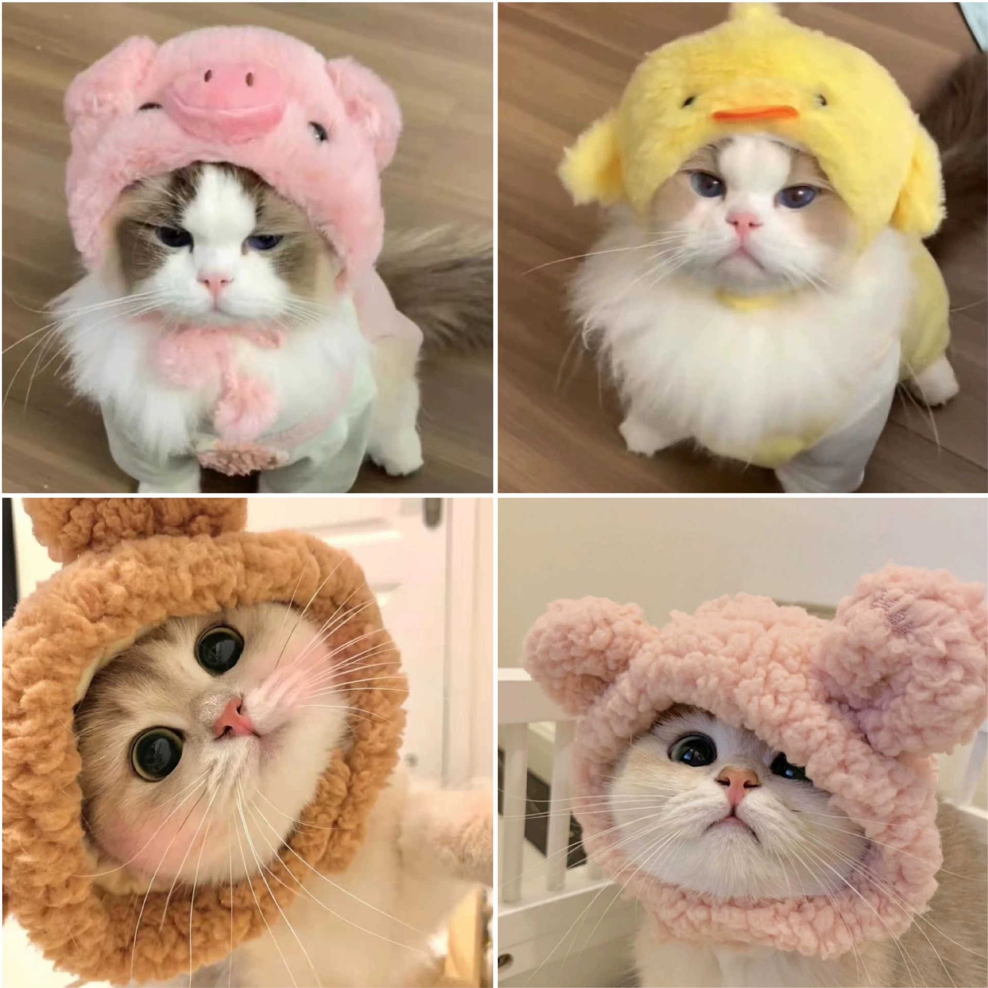 Свинья Ми кошка шляпа курица домашнее животное головной убор панда Медведь собака структура шляпа Головной убор меняющая шляпа Сетка Красный Крест-граница