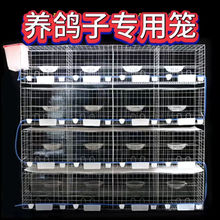 Ӵӻ\̖ش̖ԪBֳ\䌦ֳ\