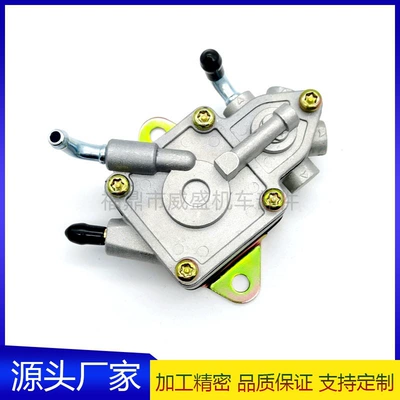 49040-0025 Fuel Pump Is Suitable for Kawasaki Teryx750 Krf750 2008 Fuel Pump