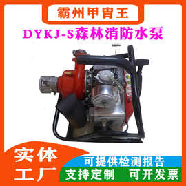 供应背负式森林消防泵高压接力泵DYKJ-S森林消防水泵防火消防泵