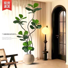 模擬植物クルマの葉フメフメフメフメフメフメフメフメフメフメフメフメフメフメフメフメフメフメフメフメフメフメフメフメフメフメフメフメフメフメフメフメフメフメフメフメフメフメフメフメフメフメフメフメフメフメフメフメフメフメフメフメフメフメフメフメフメフメフメフメフメフメフメフメフメフメフメフメフメフメフメフメフメフメフメフメフメフメフメフメフメフメフメフメフメフメフメフメフメフメフメフメフメフメフメフメフメフメフメフメフメフメフメフメフメフメフメフメフメフメフメフメフメフメフメフメフメフメフメフメフメフメフメフメ