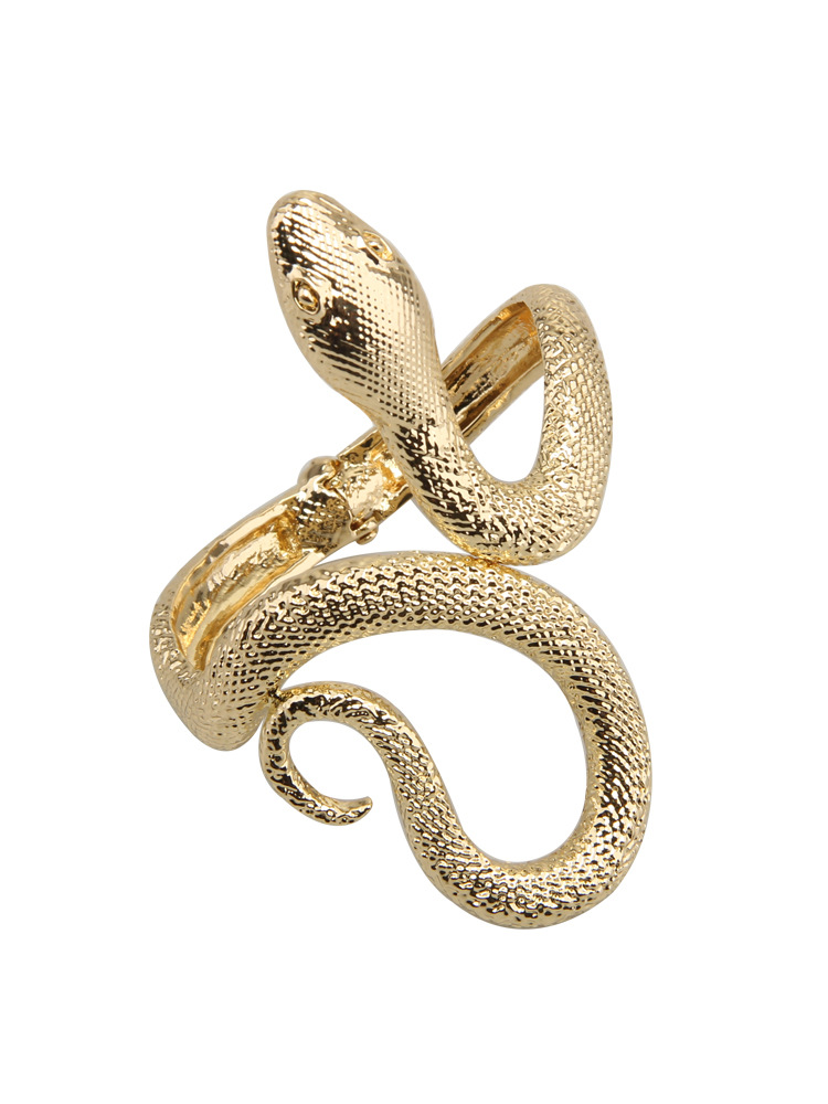 Rétro Serpent Alliage De Gros Bracelet display picture 9