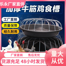 �uʳ���ϲ����iС�i��ʳ��ţ���i�����ϲ�ι�i��ɢ�B�u���Z����