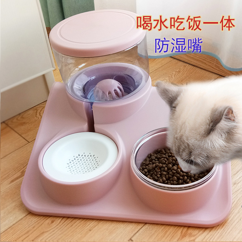 고양이 물 디스펜서 흐름 뽑힌 개 젖지 않은 입 물그릇 먹이 물 애완 동물 식수 공급 자동 공급 장치