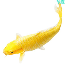 �S���\�����~�~���~���~���B�ͻ���ˮ�~�~��С���~�^�p�~