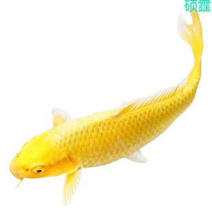 �S���\�����~�~���~���~���B�ͻ���ˮ�~�~��С���~�^�p�~