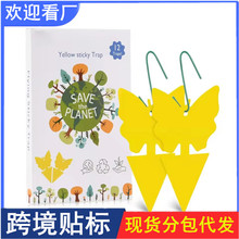 ճ�x���T�x���p���S���{���Sɫմ�x���r�I�E�R�@�ֲ��x�N