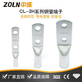 中连CL-2H国标紫铜双孔铜接线端子CL双孔铜鼻子酸洗镀锡双眼铜线