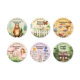 Ancient Forest PET Tape Fairy Tale Series in Forest Retro Mountain Wild Plant Landscape Decoration DIY 6