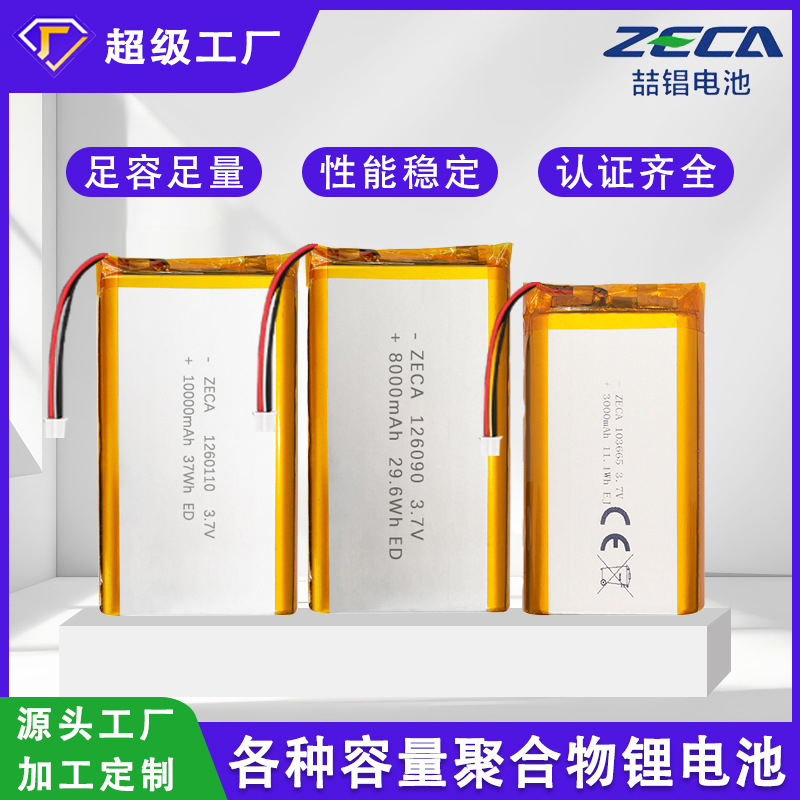 capacious lithium battery