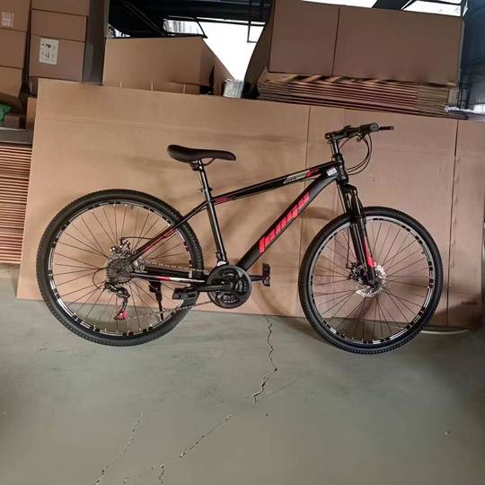 Phoenix Wind Sound Adult Bicycle Bank Gift 24/ 26inch Speed Wholesale Adult Bicycle