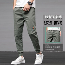 �＾��ʿ���eѝ������ѝ�ٴ�bѝ��������W�����ɾŷ����_���l