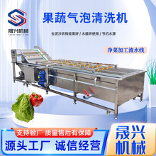 蔬菜气泡清洗机山野菜番茄秋葵高压喷淋清洗机小龙虾中药材清洗机