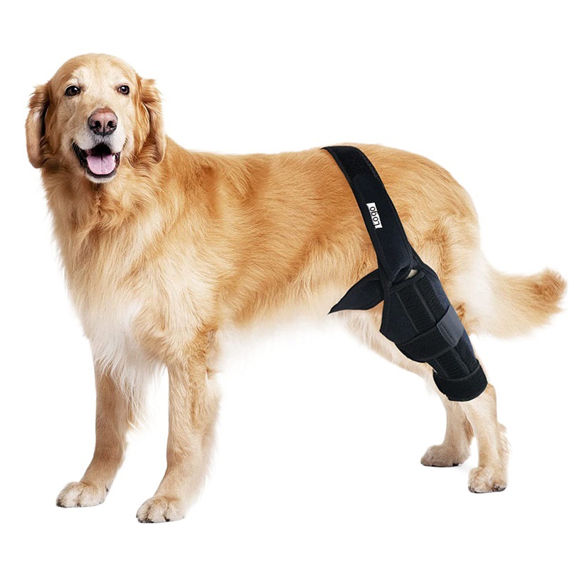 Equipo de protección para mascotas perro espalda lesión en la pierna cinturón auxiliar perro rodillera cinturón de rehabilitación lesión en la articulación de la pierna después de la operación protector de la pierna