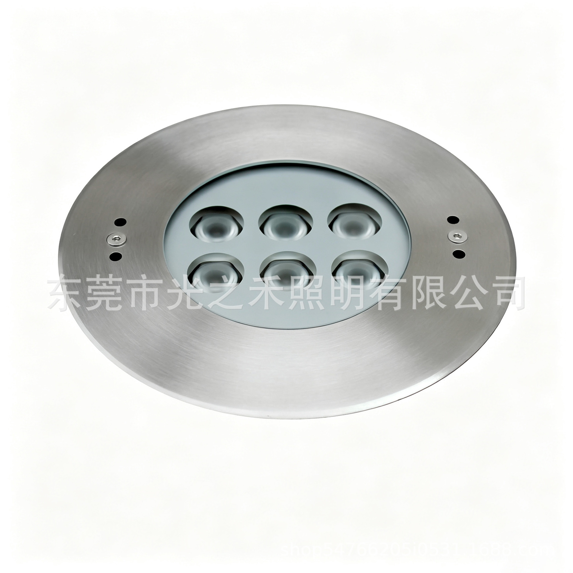 高功率 LED 水底灯一体成型 316 不锈钢 IP68 防水泳池景观水下灯