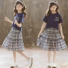 Tibetan blue plaid skirt