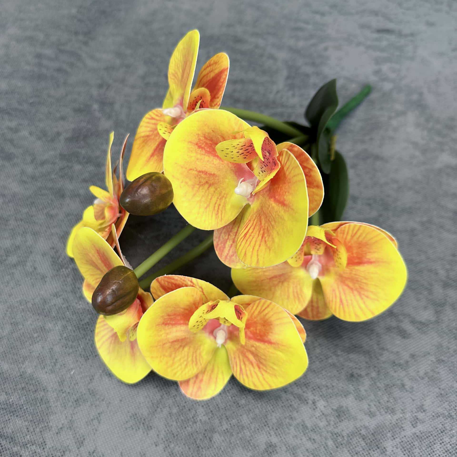 Simulación de impresión 3D orquídea mariposa en maceta decoración de la sala de estar accesorios adornos de flores falsas transfronterizas al por mayor