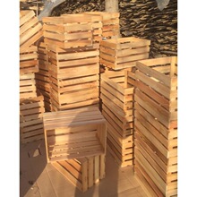 ��ľ�͹�ľ���ռ{�䳬����п�չʾ��؛��ľ��ľ��ľ����ֱ�N��ɫ