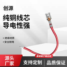 国标纯铜软线端子输出线耐高温抗氧化多规格可选新能源连接器