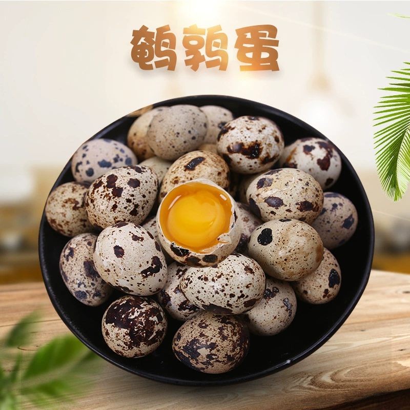 Перепелиные яйца из Хэнани, Аньян, 50 свежих яиц, полученных из диких перепелов, кормленых смешанным зерном, подходят для использования в качестве детского питания, сырые перепелиные яйца.