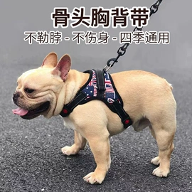 狗狗牵引;狗狗窝/笼/垫;宠物项圈