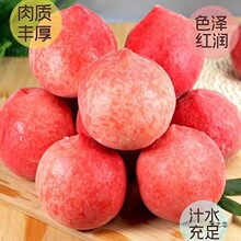 ���ӬFժ�F�lˮ���Ү���ˮ���Y�����r�����֭�����l���S���l