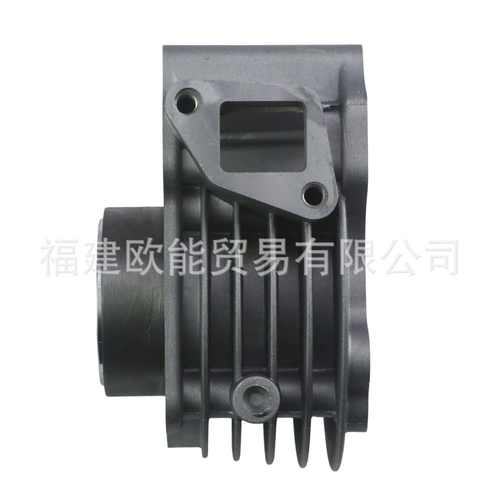 Gy6-50/80Cc 47mm Cylinder Kit Piston 139Qmb 139Qma Scooter Engine