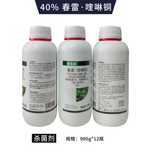ϲӯ��40%��������~�������rș�S�ϼ����Խǰ߲�����ù�����ͪ