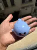 Puffer fish blue