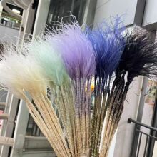 ��ɫ��ë���������ɻ�����c�b�ins�L�Ĕz���߼ҾӔ[�ODIY����