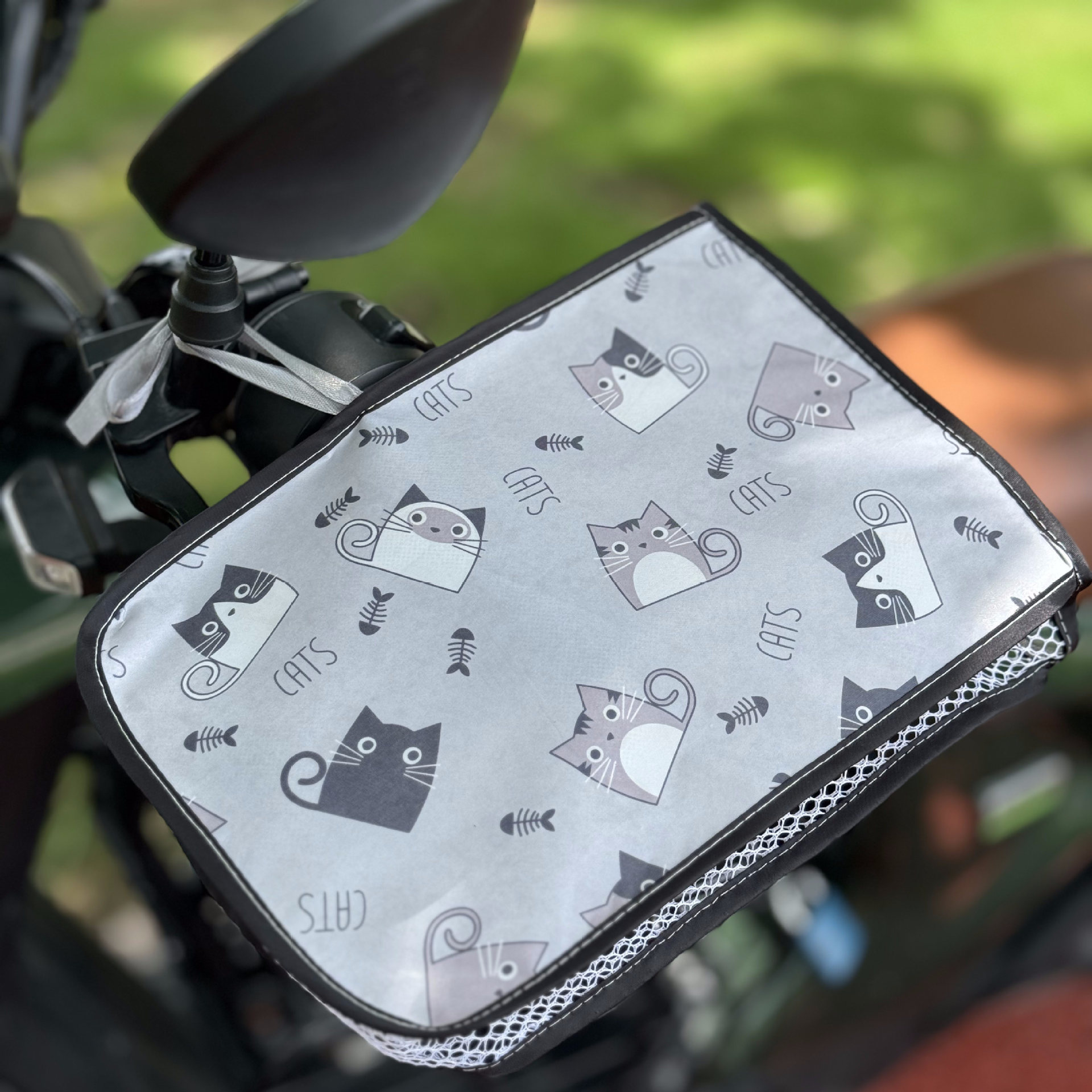 곱슬꼬리 고양이 – 회색