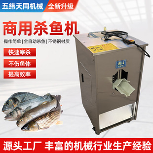 全自动一机多用杀鱼机 去鳞开肚开背杀鱼机 黑鱼草鱼不锈钢杀鱼机-阿里巴巴