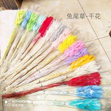 βݸɻˇûܸɻՇûˇջ