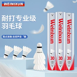 羽毛球拍;乒乓球;羽毛球