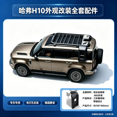 Luggage Rack H10 roof rack, roof