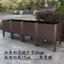 陽台種植箱架高種菜箱庭院花盆樓頂蔬菜高腳塑料種菜盆一件跨境