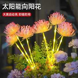 景观灯;室外LED;LED装饰灯