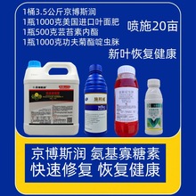 ֲ�ﲡ�����o�ݲ�����˹�����������عϹ��߲˲�ݮ���V�rș������