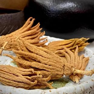 ���ָ��������A���ֹ�����Ƭ�����