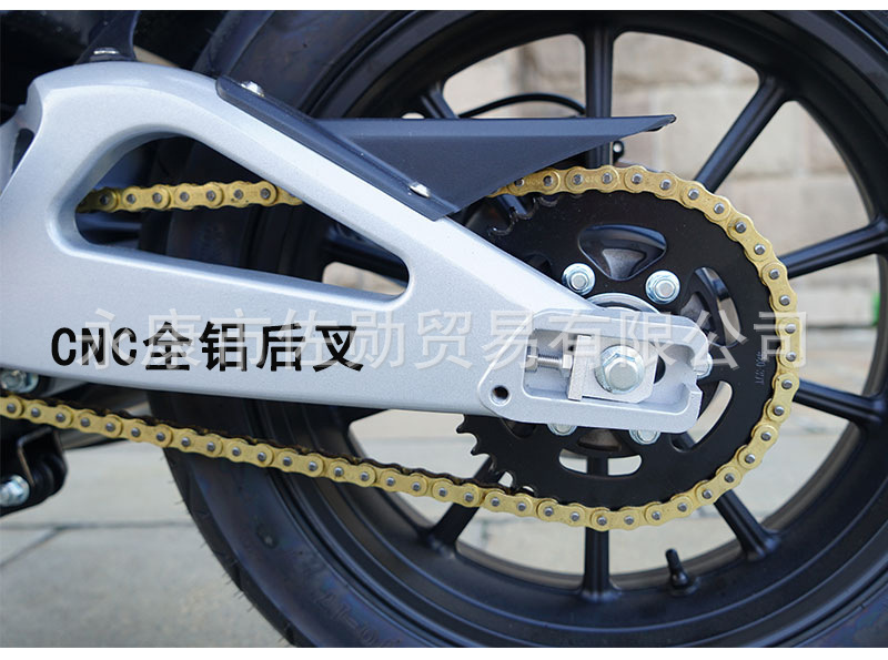 DaoLang dual-cylinder water-cooled heavy-duty street bike, high-displacement road racing motorcycle, can be registered, with Euro 4 standard and electronic fuel injection