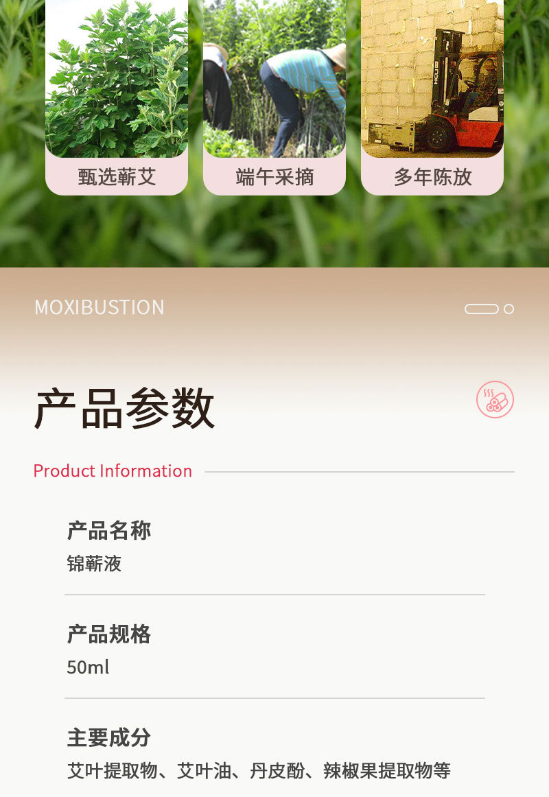 Qi Ai Mugwort Essential Oil Massage Liquid 50ml Roll-On Body Care for Neck Shoulder Back and Legs in use