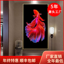 ��������ǽ�һ������뻧����װ�λ����ɻ�����������㶷��